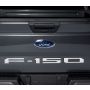 Putco 2021 Ford F-150 Ford Lettering (Cut Letters/Stainless Steel) Tailgate Emblems