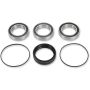 Pivot Works PWRWK-H19-040 Wheel Bearing Kit