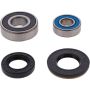 Pivot Works 25-1500-P Wheel Bearing Kit