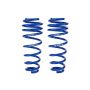 ROUSH 2005-2014 Ford Mustang Stage 2/3 Rear Coil Springs (For Use w/ 401296)