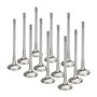 Supertech BMEVI-1054S-HS-1-12 BMW N54 Turbo Sodium Filled Exhaust Valves - Set of 12