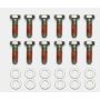 Wilwood 230-14086 Bolt Kit - 5/16-18 x 1.00 LG - 12 pk