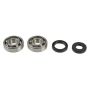Athena P400250444001 88-08 Kawasaki KX 125 Main Bearing & Seal Kit