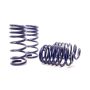 H&R 29951 80-93 Volkswagen Vanagon (2WD) T2 Sport Spring
