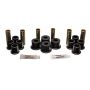 ENERGY SUSPENSION ENE4-2122G Ford Complete Spring & Shackle Set Black