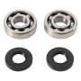 Hot Rods K004 95-21 KX 100/22-24 KX 112/83-03 KX 60 Main Bearing & Seal Kit