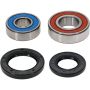 Pivot Works 25-1035-P Wheel Bearing Kit
