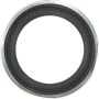 SKF 38780 Scotseal Classic Seal