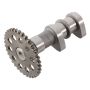 Hot Cams 2249-1IN 2004/06-08 400 DVX/00-04 DR-Z 400 Intake Camshaft - Stage 1