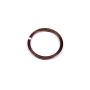 Spiro Lock - 0.927 in