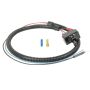BD Diesel 1036609 High Idle Control - 2003-2004 Ford Power Stroke 6.0L F-Series Pick-Up Auto Trans