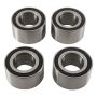 Pivot Works PWRWK-P21-000 Wheel Bearing Kit