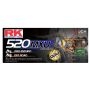 RK Chain GB520MXU-110 GB520MXU-110 - Gold