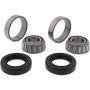 All Balls Racing 25-1002 Wheel Bearing Kits