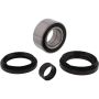 All Balls Racing 25-1572 Wheel Bearing Kits