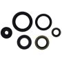 Vertex Pistons 822995 Vertex Gaskets 22-23 Gas-Gas MC85 1714 Oil Seal Kit