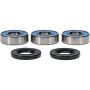 Pivot Works 25-1033-P Wheel Bearing Kit