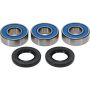 Pivot Works 25-1033-P Wheel Bearing Kit
