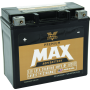 TwinPower 485022 Twin Power GYZ-20HL Premium MAX Battery Replaces H-D 65989-97A Made in USA 320 CCA