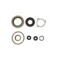 Athena P400195370896 Engine Oil Seal Kits