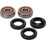 Pivot Works 25-1072-P Wheel Bearing Kit