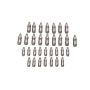 Ford Racing Ford GT and Mustang SVT 5.4L Lash AdjusterS