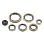 Vertex Pistons 822976 Vertex Gaskets 21-23 Gas-Gas EC250 Oil Seal Kit