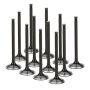 Supertech Audi/VW 1.8T 5V Black Nitride Exhaust Valve - Set of 12