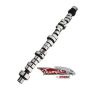 COMP CAMS COM20-600-9 SBM Hydraulic Roller Cam 283THR7
