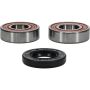 Pivot Works 25-1088-P Wheel Bearing Kit