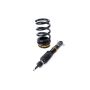 ISC Suspension F030-T ISC 05-14 Ford Mustang S197 N1 Coilovers - Track
