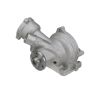 CARTER FUEL PUMPS W810M Engine Water Pump