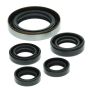 Vertex Pistons 822249 Vertex Gaskets 06-07 Polaris Outlaw 500 Oil Seal Kit
