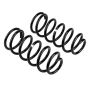 Old Man Emu 2895 ARB / OME Coil Spring Rear Prado 4/03On