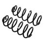 Old Man Emu 2617 ARB / OME Coil Spring Rear Jeep Jk