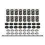 Ferrea Acura/Honda B18/B16 Endurance Dual Spring Kit