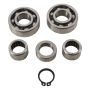 Hot Rods TBK0098 09-23 50 SX/09-23 50 SX Mini/21-23 MC 50 Transmission Bearing Kit