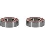 Pivot Works 25-1135-P Wheel Bearing Kit
