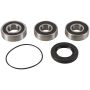 Pivot Works PWRWS-H13-000 98-03 Honda VT750C PW Rear Wheel Bearing Kit