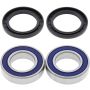 All Balls Racing 25-1293 Wheel Bearing Kits