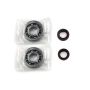 Athena P400480444001 Bearing & Oil Seal Kits