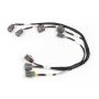 Haltech HT-130330 Nissan RB Twin Cam (Late Model) Ignition Sub-Harness