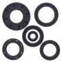 Vertex Pistons 822251 Engine Oil Seal Kit