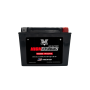 TwinPower 485006 High Performance Batteries