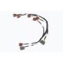 Haltech HT-130331 Nissan RB Twin Cam (Early Model) Ignition Sub-Harness