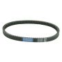 Athena S410000350021 Transmission Belts