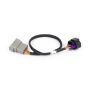 Haltech HT-186506 NEXUS Rebel LS 8-Pin DBW Adaptor