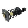 GSP 810319 Buick, Pontiac Suspension Strut and Coil Spring Assembly  - Rear Left