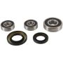 Pivot Works PWRWS-S08-000 95-04 Suzuki GSF600S Bandit PW Rear Wheel Bearing Kit