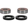 Pivot Works 25-1027-P Wheel Bearing Kit